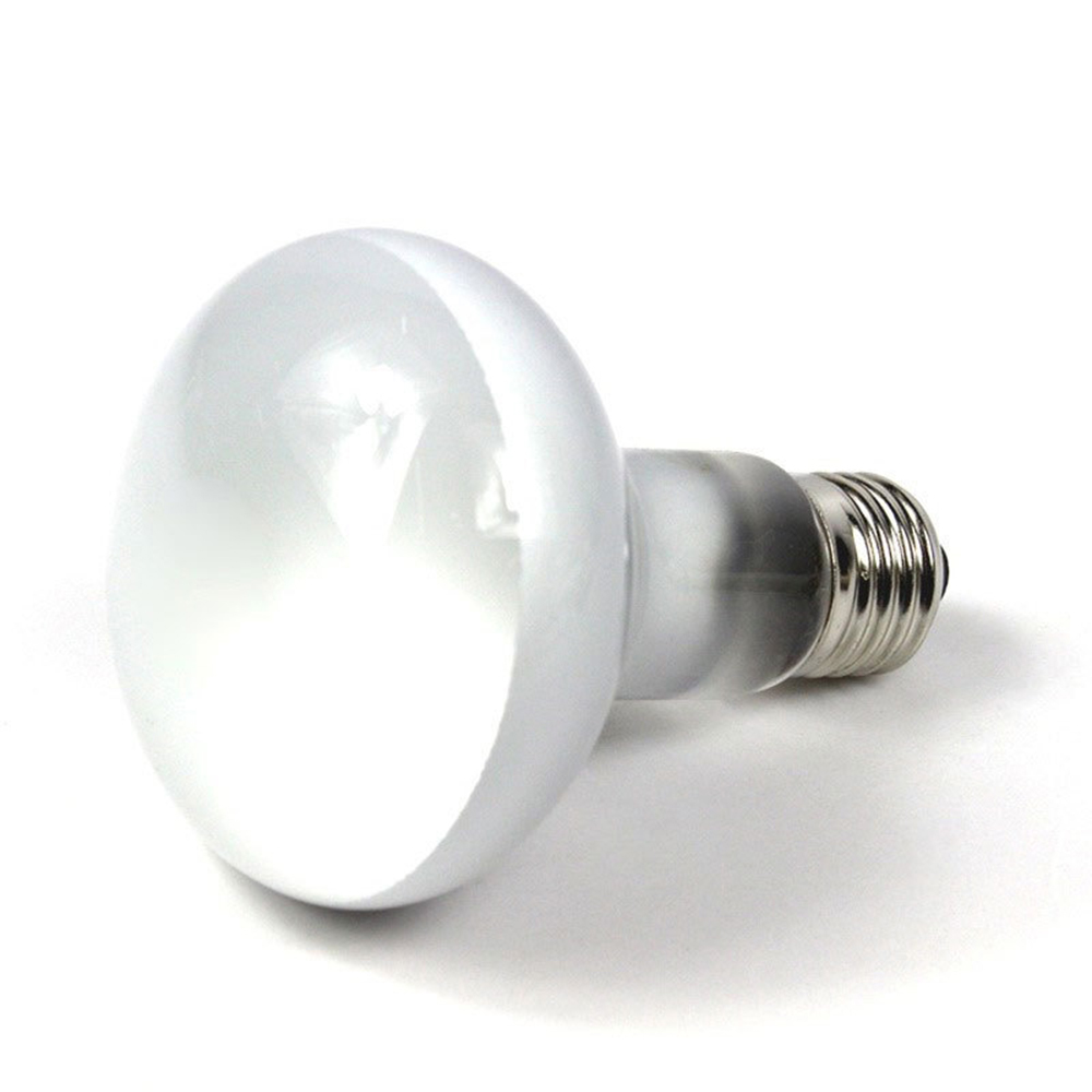 Lizard Heater Temperature Cont - Basking Bulb Halogen 评论和价格