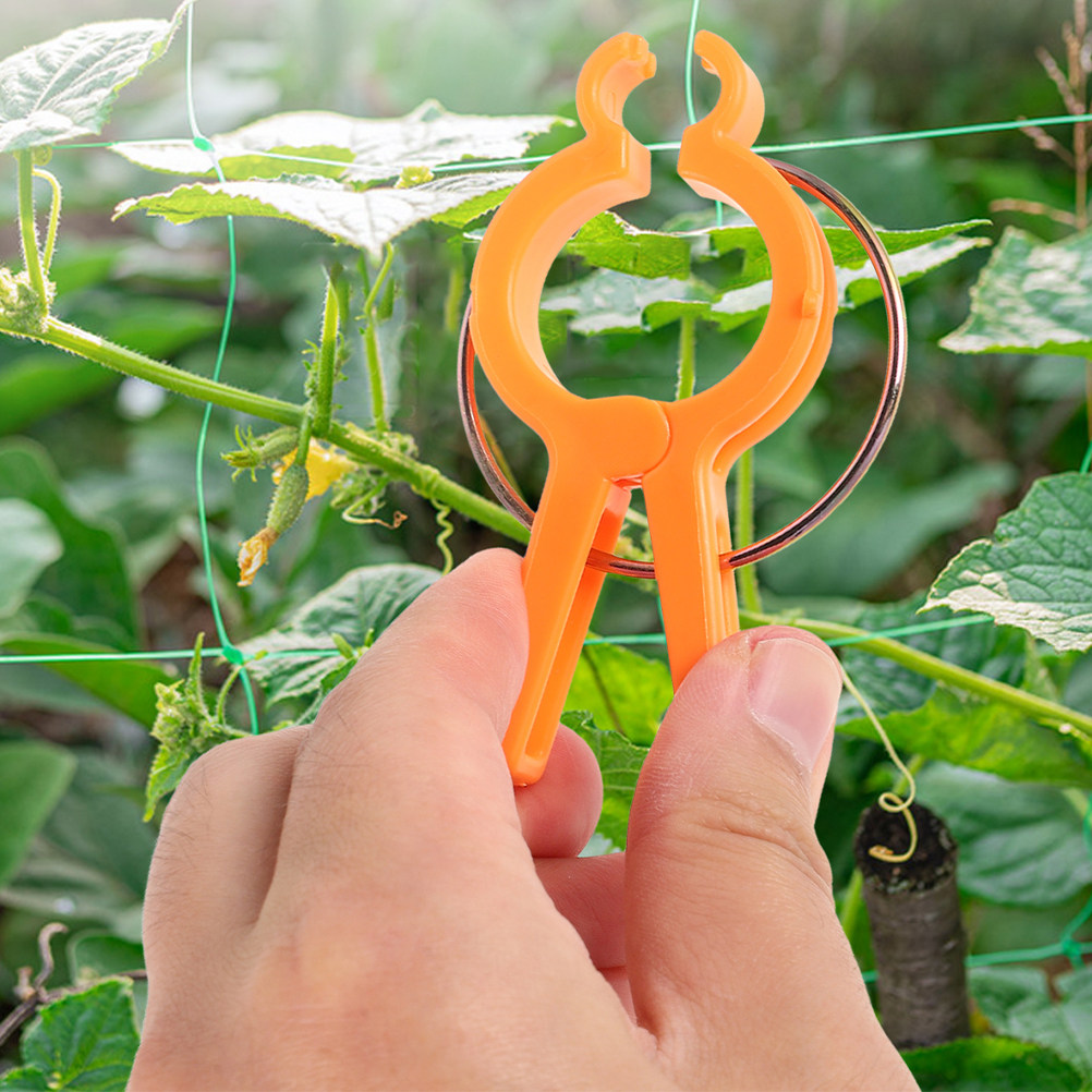 10Pcs Plant Fixing Clips Vine  - Vine Climbing Plastic 评论和价格