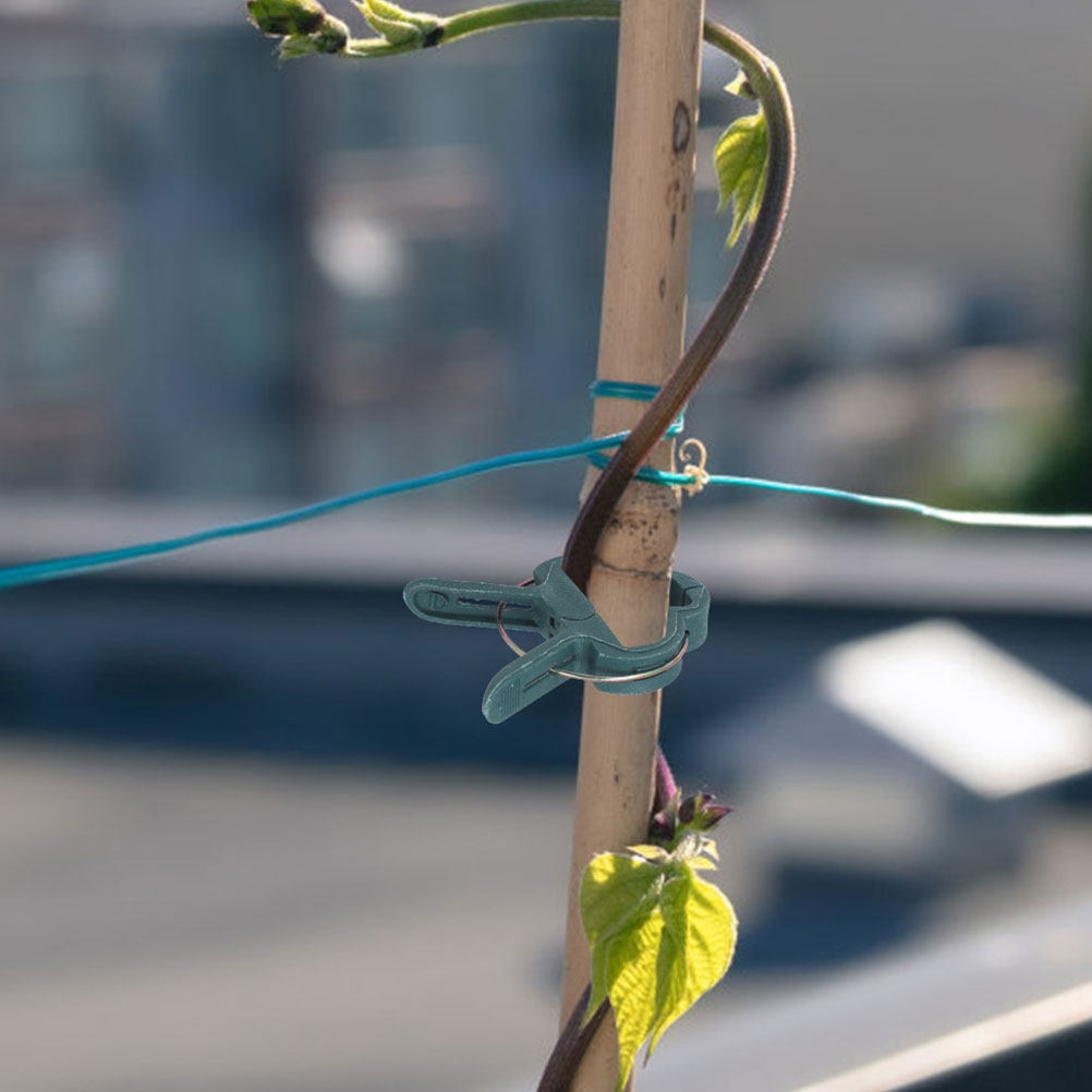 50 Pcs Garden Clips for Plants - Vine Climbing Plastic 评论和价格