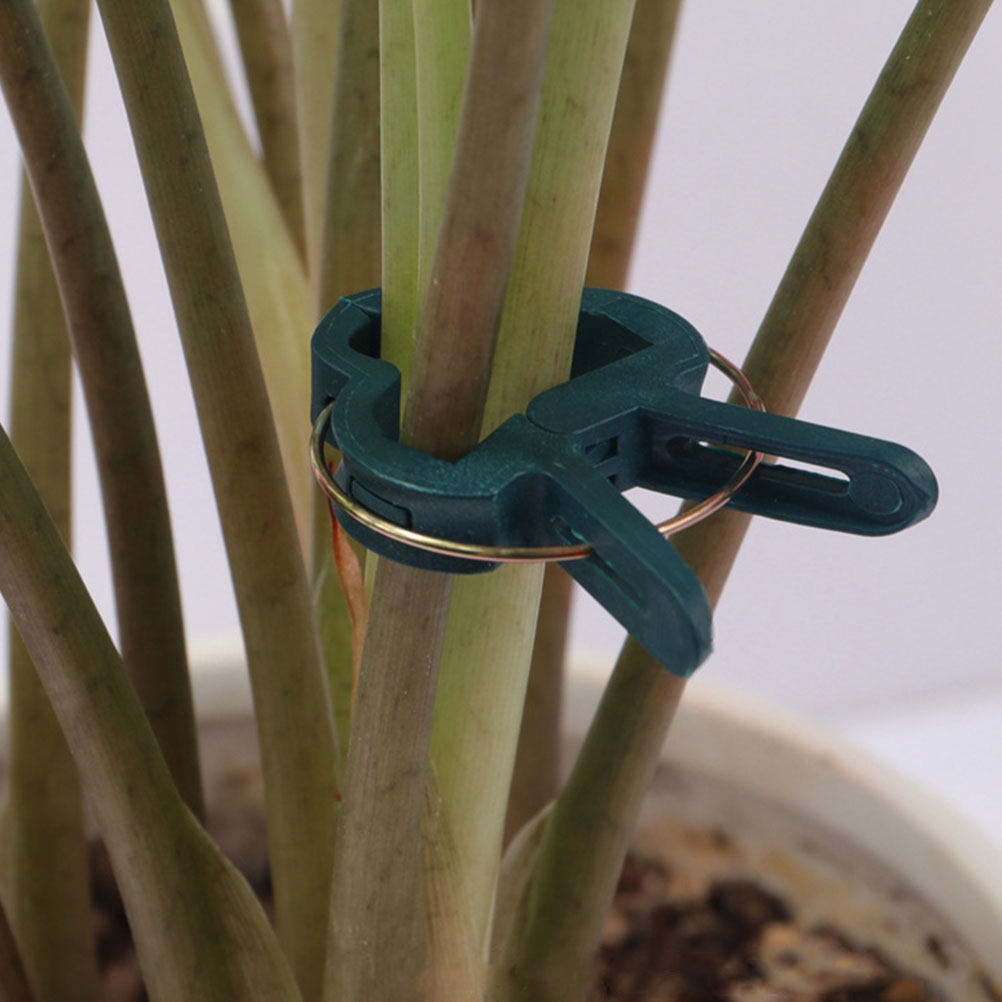 50 Pcs Garden Clips for Plants - Vine Climbing Plastic 评论和价格