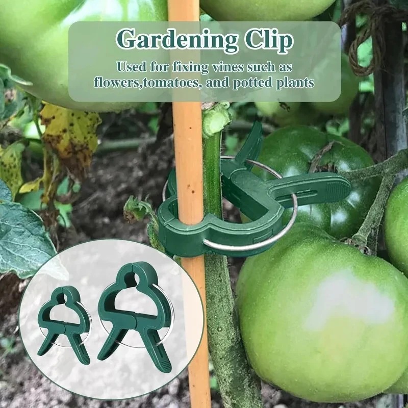 50 Reusable Plant Fixed Clips, - Vine Climbing Plastic 评论和价格