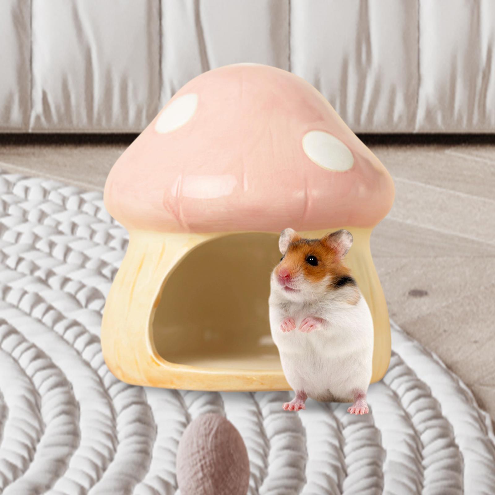 Ceramic Mushroom Hamster Hideo - Hide Cave Ceramic 评论和价格