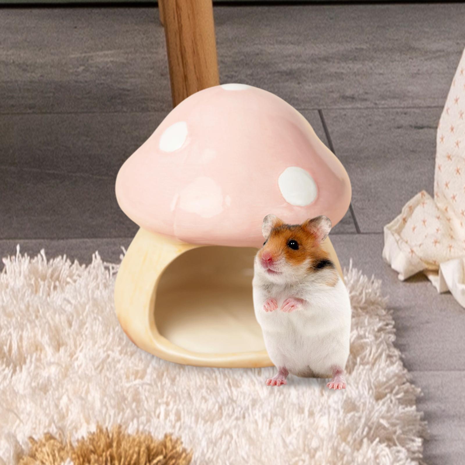Ceramic Mushroom Hamster Hideo - Hide Cave Ceramic 评论和价格